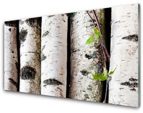 Nástenný panel  Stromy príroda 140x70 cm