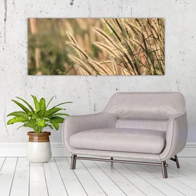 Obraz - Obilie (120x50 cm)