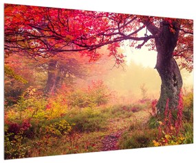 Obraz jesennej lesnej krajiny (90x60 cm)