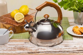 Čajník pískací s objemom 3,5 L hnedý