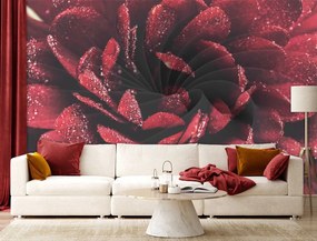 Gario Fototapeta Kvetina v makro mierke Materiál: Vliesová, Rozmery: 250 x 175 cm