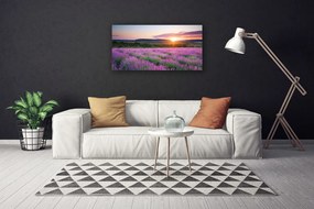 Obraz Canvas Levanduľa pole lúka západ 140x70 cm