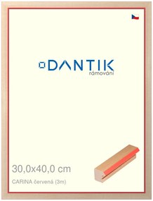 DANTIK rám na obraz 30x40 | CARINA červená (Plexi Čiré)