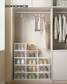 Úložné boxy na topánky LSP106W12V2