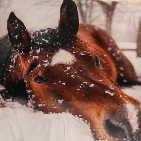 Baránková deka KÔŇ 150 x 200 cm