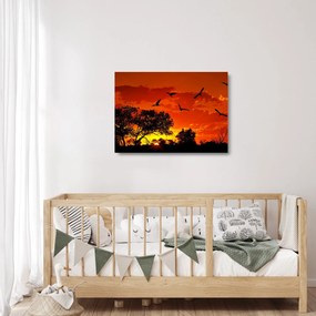 Sklenený obraz vtákov pri západe slnka (70x50 cm)