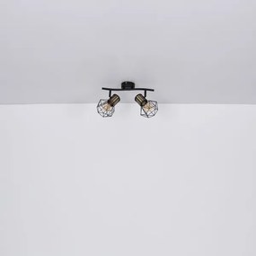 Globo 54017-2M - Bodové svietidlo PRISKA 2xE27/40W/230V