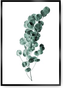 Plagát Eucalyptus Emerald Green