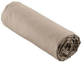 Svetlohnedá napínacia plachta z bavlneného perkálu 180x200 cm Percaline – douceur d'intérieur