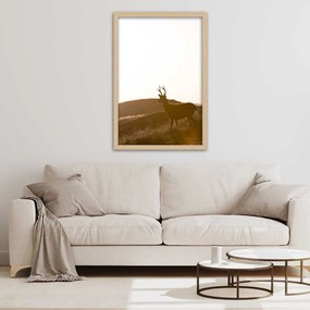 Gario Plagát Mladý jeleň Farba rámu: Bez rámu, Rozmery: 70 x 100 cm