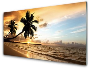 Skleneny obraz Palma stromy pláž krajina 140x70 cm