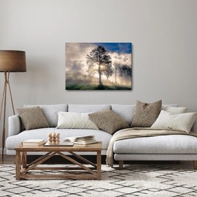 Obraz stromu v hmle (70x50 cm)