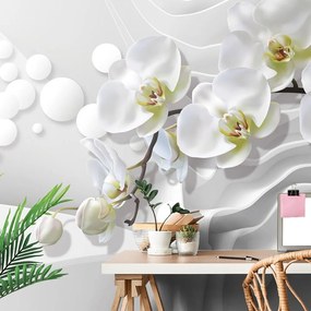 Tapeta orchidea na abstraktnom pozadí - 300x270
