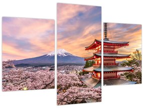 Obraz - Fuji (90x60 cm)