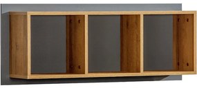 Závesný regál W12 Werso Riviera/biely/antracit