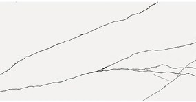 Obklad Alesia rekt. 30/60