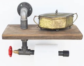 Držiak toaletného papiera s policou BORURAF 22x31 cm smrek