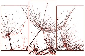 Obraz na plátne - Pampeliškové semienka s kvapkami vody 1202KC (135x90 cm)