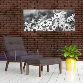 Obraz - Kopretiny (120x50 cm)