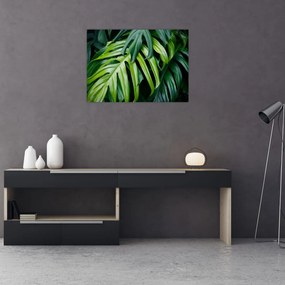 Sklenený obraz - Tropické listy (70x50 cm)