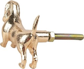 Zlatá kovová úchytka jazvečík Dachshund - 6*4*4 cm / S3 cm