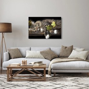 Obraz - Ležiaca mačka (90x60 cm)