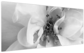 Obraz - Kvet, čiernobiela (120x50 cm)
