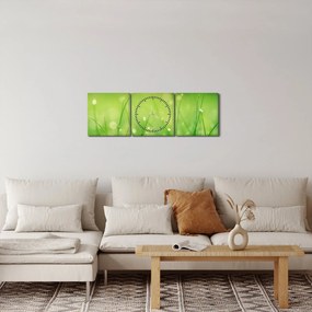 Obraz - rosa na tráve (s hodinami) (90x30 cm)