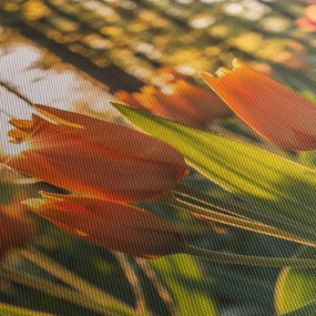 Obraz - kvety tulipánov (120x50 cm)