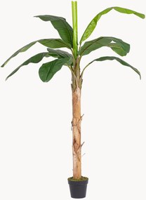 Exteriérová umelá rastlina Banana, V 210 cm