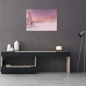 Sklenený obraz - Stromy pod snehovou prikrývkou (70x50 cm)