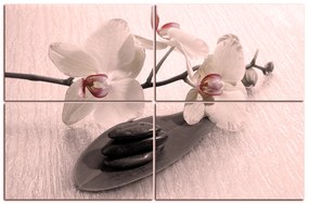 Obraz na plátne - Kvety orchidei 162FC (120x80 cm)