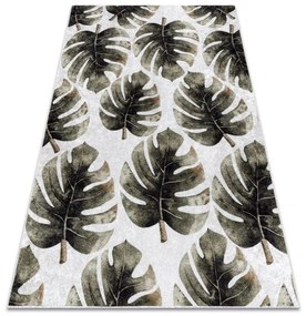 Koberec MIRO 52102.801 listy Monstera, zelený