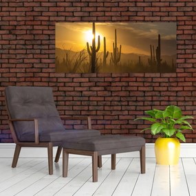 Obraz - Kaktusy Saguaro (120x50 cm)