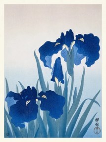 Obrazová reprodukcia Blue Iris Flowers, Ohara Koson