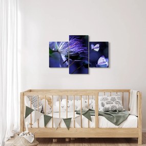 Obraz - Tropický kvet (90x60 cm)