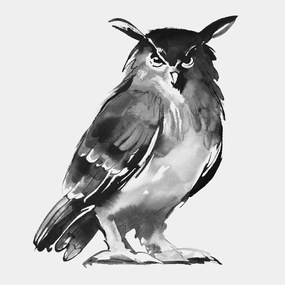 Plagát Eagle Owl 50x70