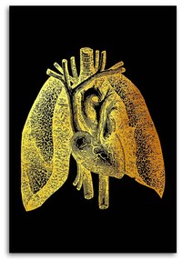 Gario Obraz na plátne Zlatá anatómia, ľudské pľúca - Gab Fernando Rozmery: 40 x 60 cm