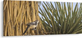 Obraz - Oriešok (120x50 cm)