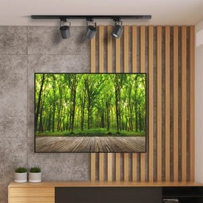 Bodové svietidlo do lištového systému MINOR 1xGU10/10W/230V čierna