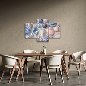 Obraz - Zbierka mušlí (90x60 cm)
