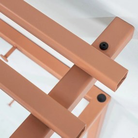 Kovový nástenný vešiak v lososovej farbe s poličkou Rizzoli – Spinder Design