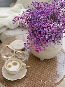 PLASTOVÝ KVETINÁČ BOTANICA SADA 2KS 30X24 CM+23X18,5 CM BÉŽOVÁ