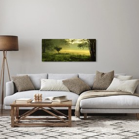 Obraz - Prebúdzajúci sa les (120x50 cm)