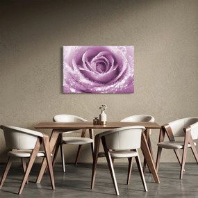 Obraz detailu kvetu ruže (90x60 cm)