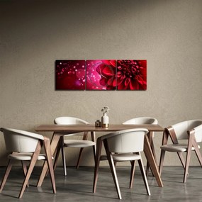 Obraz červené kvety (s hodinami) (90x30 cm)