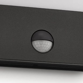 Philips 17274/93/16-LED Vonkajšie svietidlo so senzorom RACCOON 1xLED/3W/230V IP44