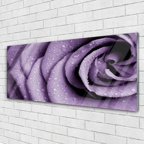 Obraz plexi Ruže kvet rastlina 125x50 cm