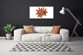 Obraz Canvas Aníz hviezda príprava 120x60 cm