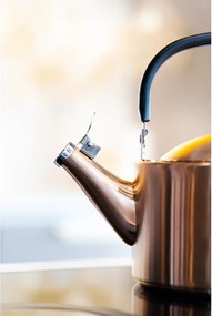 Varná kanvica z nehrdzavejúcej ocele v medenej farbe 1,5 l Diamante – Vialli Design